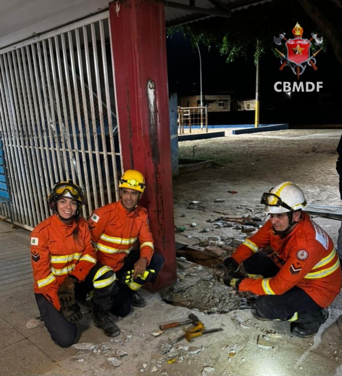 Bombeiros resgatam dois filhotes de gato presos em tubulação em Planaltina