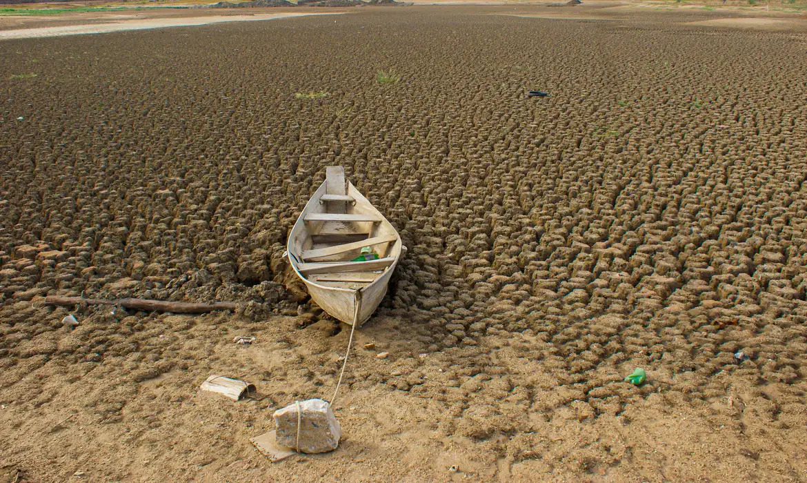 Brasil Estabelece Metas Ambiciosas para Restaurar Terras Degradadas