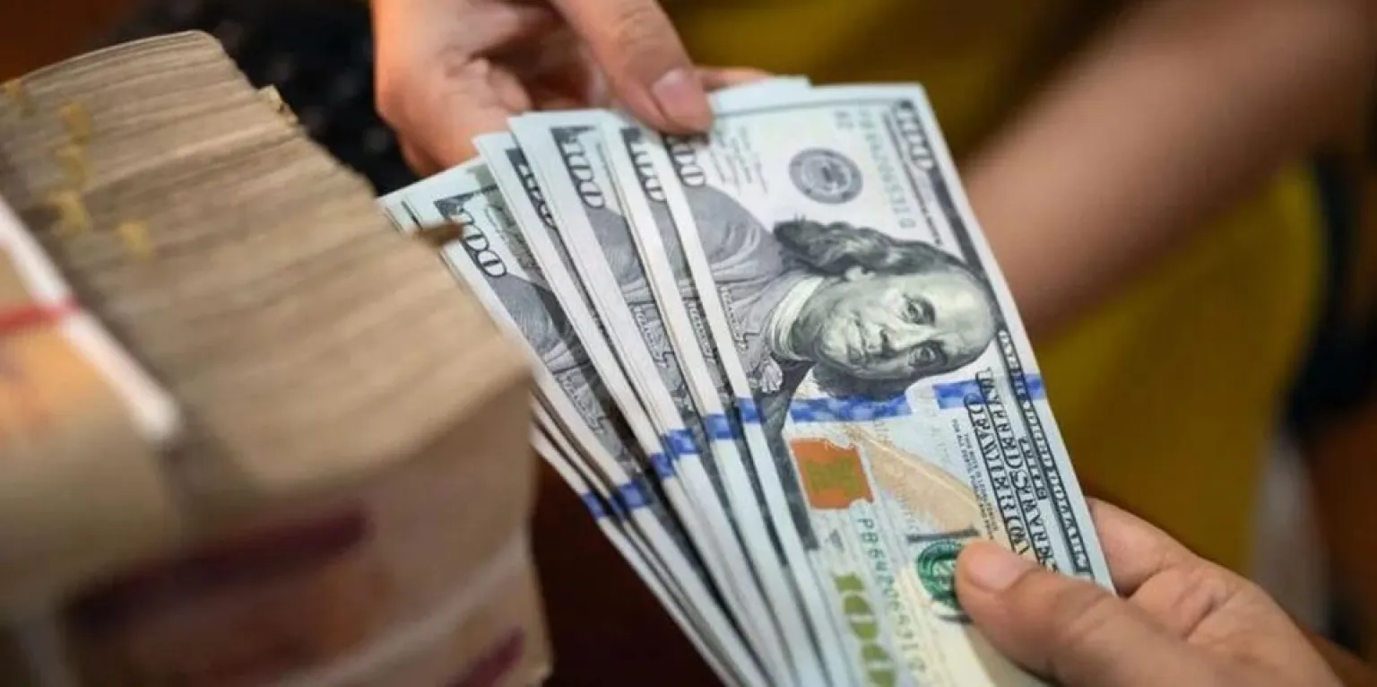 Harvard Indenizará em US$ 53 Milhões Após Escândalo de Venda de Restos Mortais