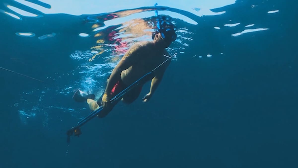 Sabor & Arte reexibe documentário sobre a cultura caiçara de Ilhabela